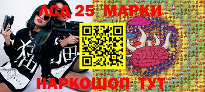 стаф Аргун