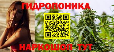 стаф Аргун