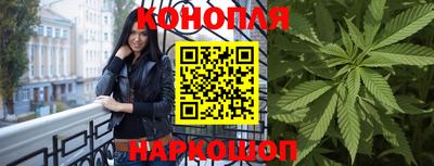 стаф Аргун