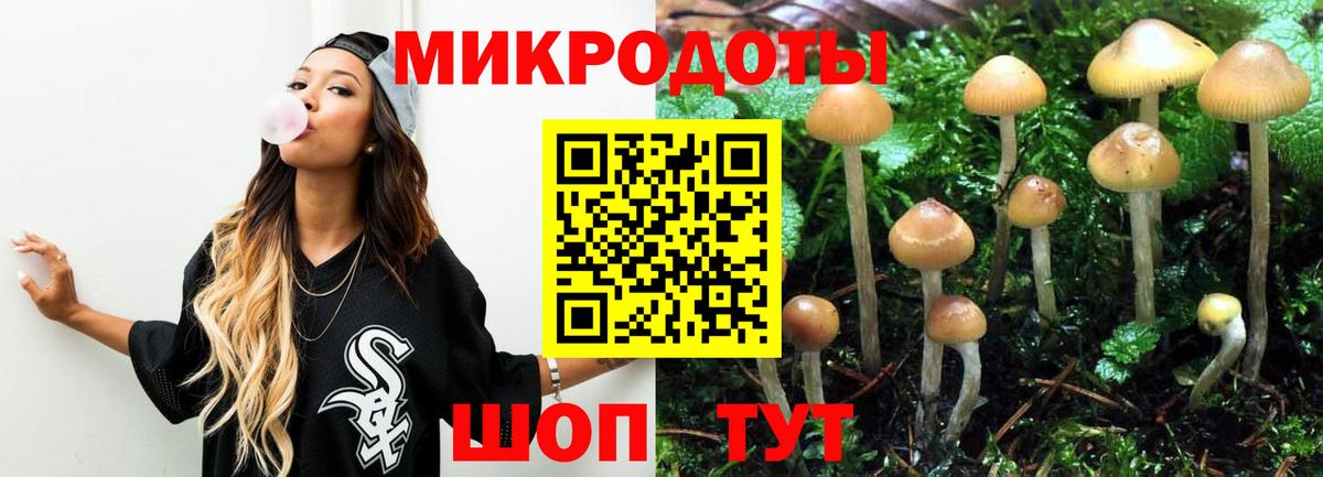 Вольск  Галлюциногенные грибы GOLDEN TEACHER  Псилоцибиновые грибы Cubensis  Вход с VPN 